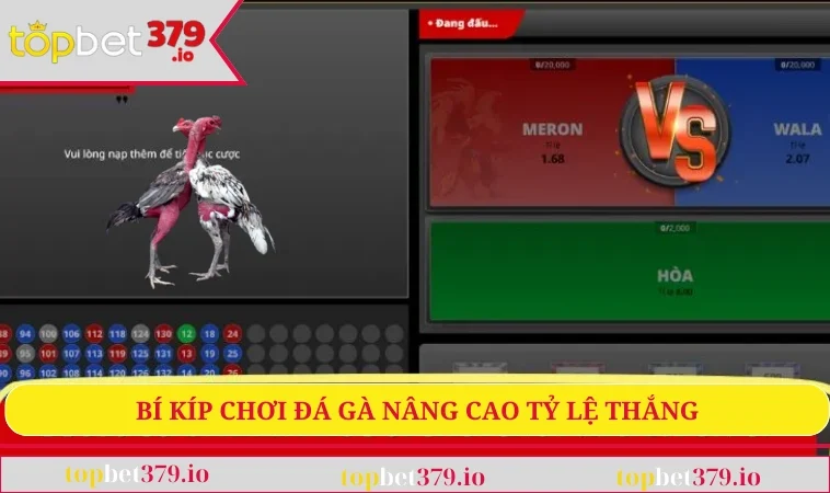 Đá Gà C1 - Sân Chơi Giải Trí Đỉnh Cao Cho Mọi Tín Đồ 3 Bí kíp chơi đá gà nâng cao tỷ lệ thắng