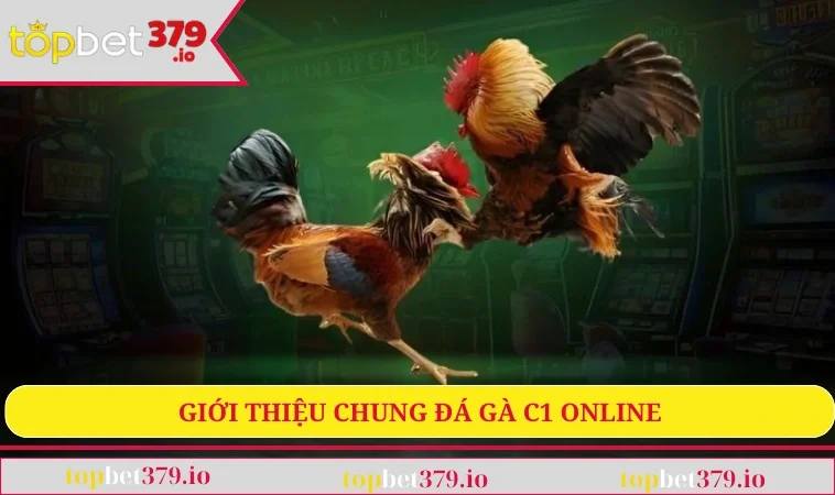 Đá Gà C1 - Sân Chơi Giải Trí Đỉnh Cao Cho Mọi Tín Đồ 1 Giới thiệu chung đá gà C1 online