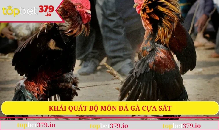 Đá Gà Cựa Sắt - Trải Nghiệm Giải Trí Kịch Tính Bậc Nhất 1 Khái quát bộ môn đá gà cựa sắt