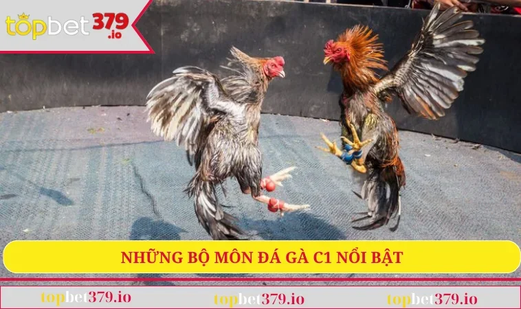 Đá Gà C1 - Sân Chơi Giải Trí Đỉnh Cao Cho Mọi Tín Đồ 2 Những bộ môn đá gà nổi bật