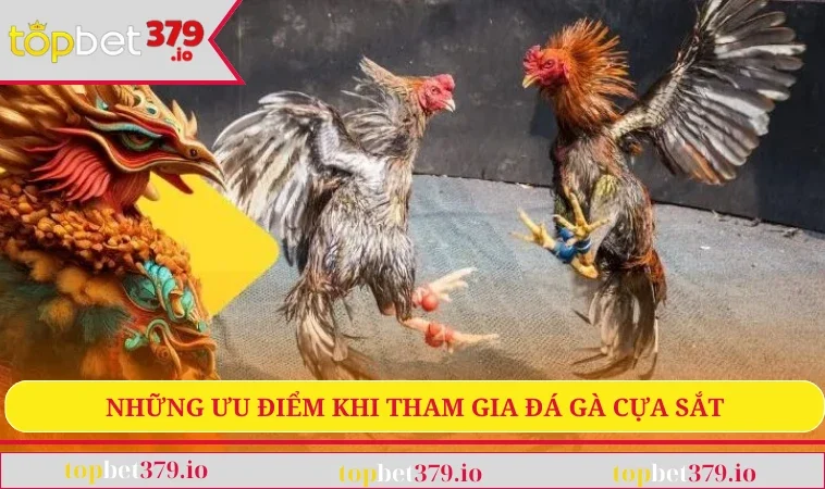 Đá Gà Cựa Sắt - Trải Nghiệm Giải Trí Kịch Tính Bậc Nhất 3 Những ưu điểm khi tham gia đá gà cựa sắt