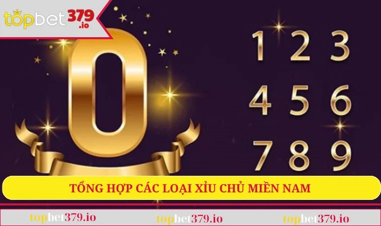 Cách Bắt Xỉu Chủ Miền Nam Chuẩn Xác, Đơn Giản, Dễ Hiểu 2 Tổng hợp các loại xỉu chủ miền Nam